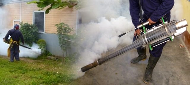control de plagas fumigacion